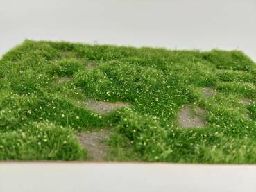 Wildwuchs hoch, Frühling